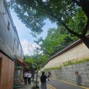 더 이쁜 멍살롱 | 서순라길 한옥카페 살롱순라 평일에 가도 사람 멍많음