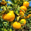 민균농장 이미지