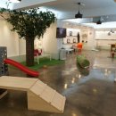 애견호텔 이미지