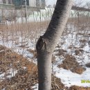 회원농장 이미지