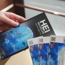 아동미술(2018~2019년생) | 파주 가볼만한 곳 뮤지엄헤이 후기 미디어아트 &amp; 르누아르