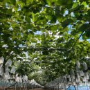 훈이농장 이미지