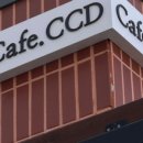 카페CCD 네이버블로그