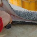 하전농장 이미지