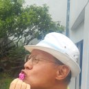 금실다방 - 영양군 입암로 129-4 | 금실다방