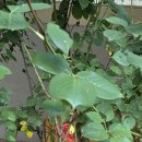 버스정류장 07-512 이미지