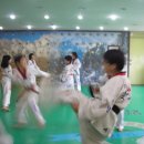 홍인태권도 이미지