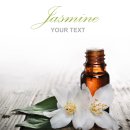 금난의 집 이미지