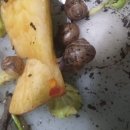 명주농장 이미지