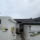 무지개민박 | [통영 비진도] 성수기 10만원 비진도 가성비 민박 “카멜리아민박” 내돈내산 후기