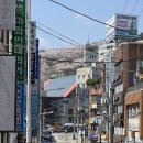 부산광역시 수영구 광안해변로 44   (남천동) 남천마리나 앞 | 부산 남천동 뚜벅이 부산 여행 - 남천동 삼익비치 벚꽃터널 명당에서 인생샷 건지는 법!