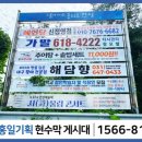 행정용 82 네이버블로그