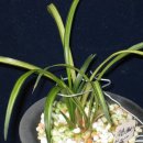 올젠테크놀로지 이미지