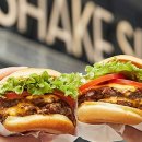 쉐이크쉑천안점 이미지