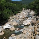 지리산계곡 Daum카페