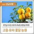 꽃담농원