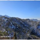 송천마을공인중개사사무소 | 조례동상가임대 신뢰와 전문성으로 엮어낸 송천부동산 경험담