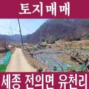 지성부동산공인중개사사무소 이미지