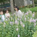 은하어린이집 놀이터 이미지