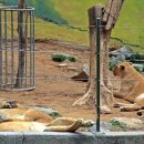 전주동물원 이미지