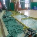 완도17호 이미지