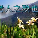 순자 영욕(荀子 榮辱) 이미지
