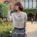 체리코코 이미지