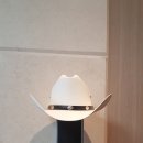 웨스턴카우 이미지