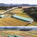 K-farm농장 이미지