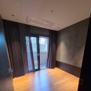 품이네 애견방 | 비발디파크 소노펫 골드 내돈내산/강아지 천국