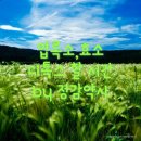 맞이 환절기 약국용 엽록소, 효소 제품으로 디톡스 후기 (feat. J&amp;H bio 하정헌 그린팩터_Green Factor)