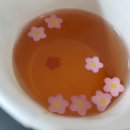 서해대학교 이미지