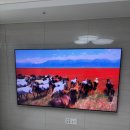 시티카아트 | 세종 청주 TV설치 세탑박스 숨김 선매립 전문! 동구 이스트시티 선없는 벽걸이티비 설치 후기 입니다~!