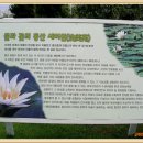 양평 두물머리 연꽃단지인 세미원 이미지