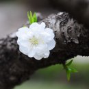 산  막 이미지