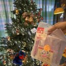 별별제주 | 제주 소품샵 추천 | 별별스토어 방문후기 | 내돈내산