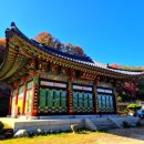 광시털보신흥정육점 | 예산의 맛 예산8미(味) 광시 소고기 구이와 소고기 싸게 먹는 방법