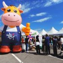 누리한우 이미지