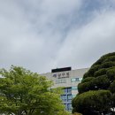 남구청 | 울산 남구청 혼인신고 후기 / 혼인신고서 다운로드, 준비물 및 증인 서명, 처리기간