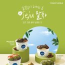 요거트월드제주