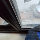 다원약품 이미지