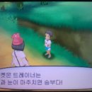 트레이너스쿨 네이버블로그