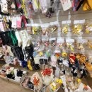 데이지 하우스 이미지