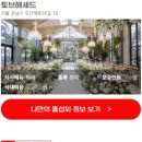 헤세드컨설팅 | 강남 토브헤세드 무료 섭외 받아보는 방법