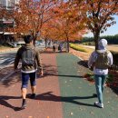 크로스핏 하울 이미지