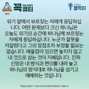 콩깍지 이미지