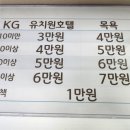 박준애견호텔강아지목욕대형견호텔애견유치원 네이버블로그