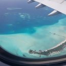 우당탕탕 사고뭉치 이미지