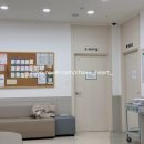 성모힐소아청소년과의원 네이버블로그