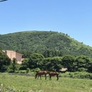 경하목장 이미지